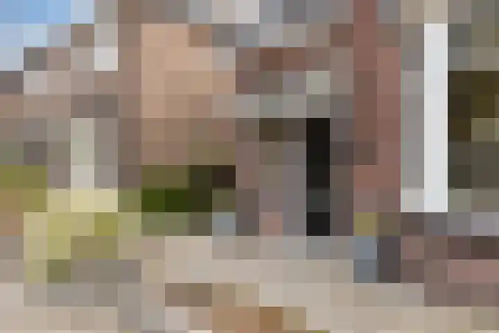 Berfloweg 205 Hengelo thumbnail 9