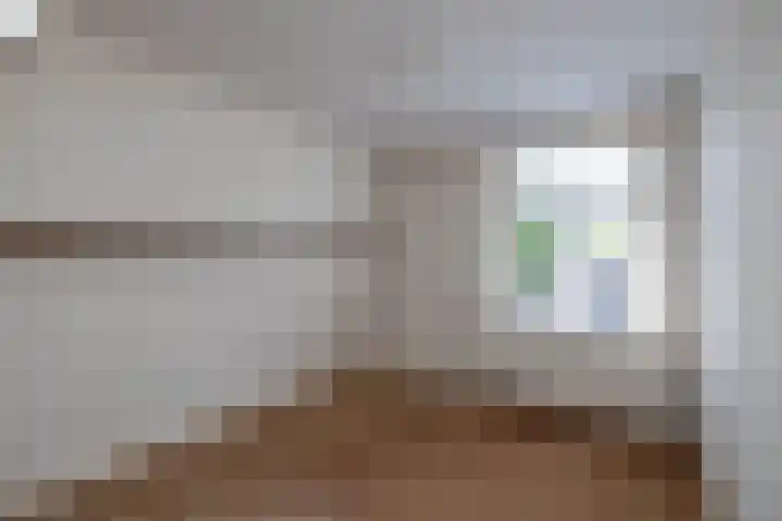 Berfloweg 209 Hengelo thumbnail 17