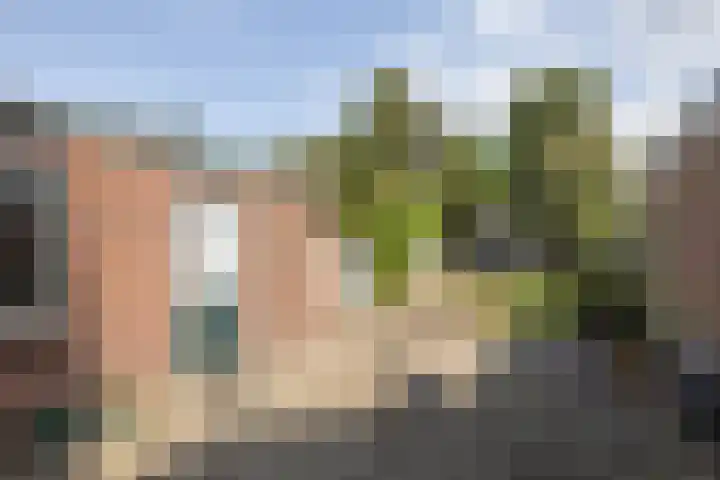 Berfloweg 209 Hengelo thumbnail 20