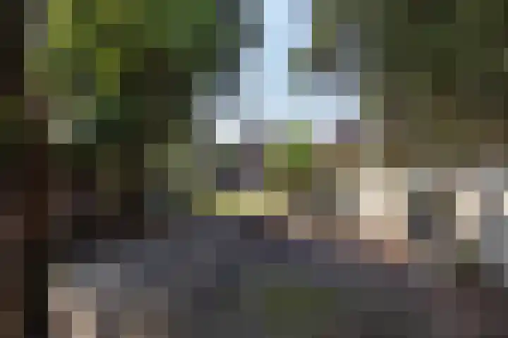 Berfloweg 209 Hengelo thumbnail 21