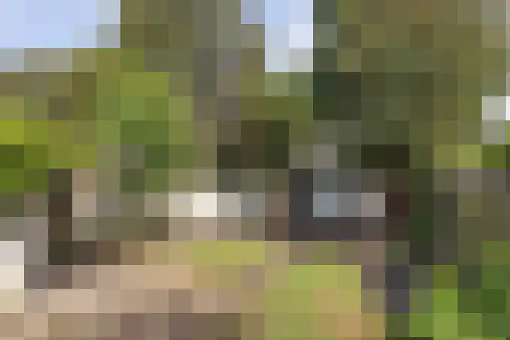 Berfloweg 209 Hengelo thumbnail 22