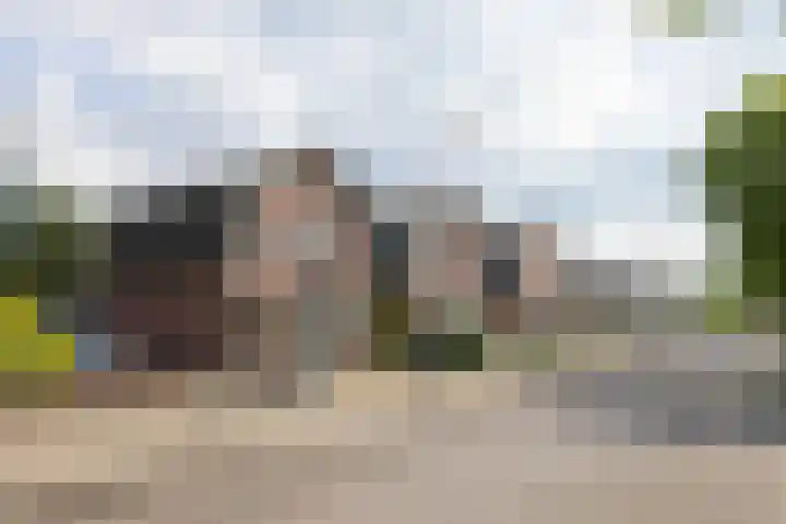 Berfloweg 209 Hengelo thumbnail 31