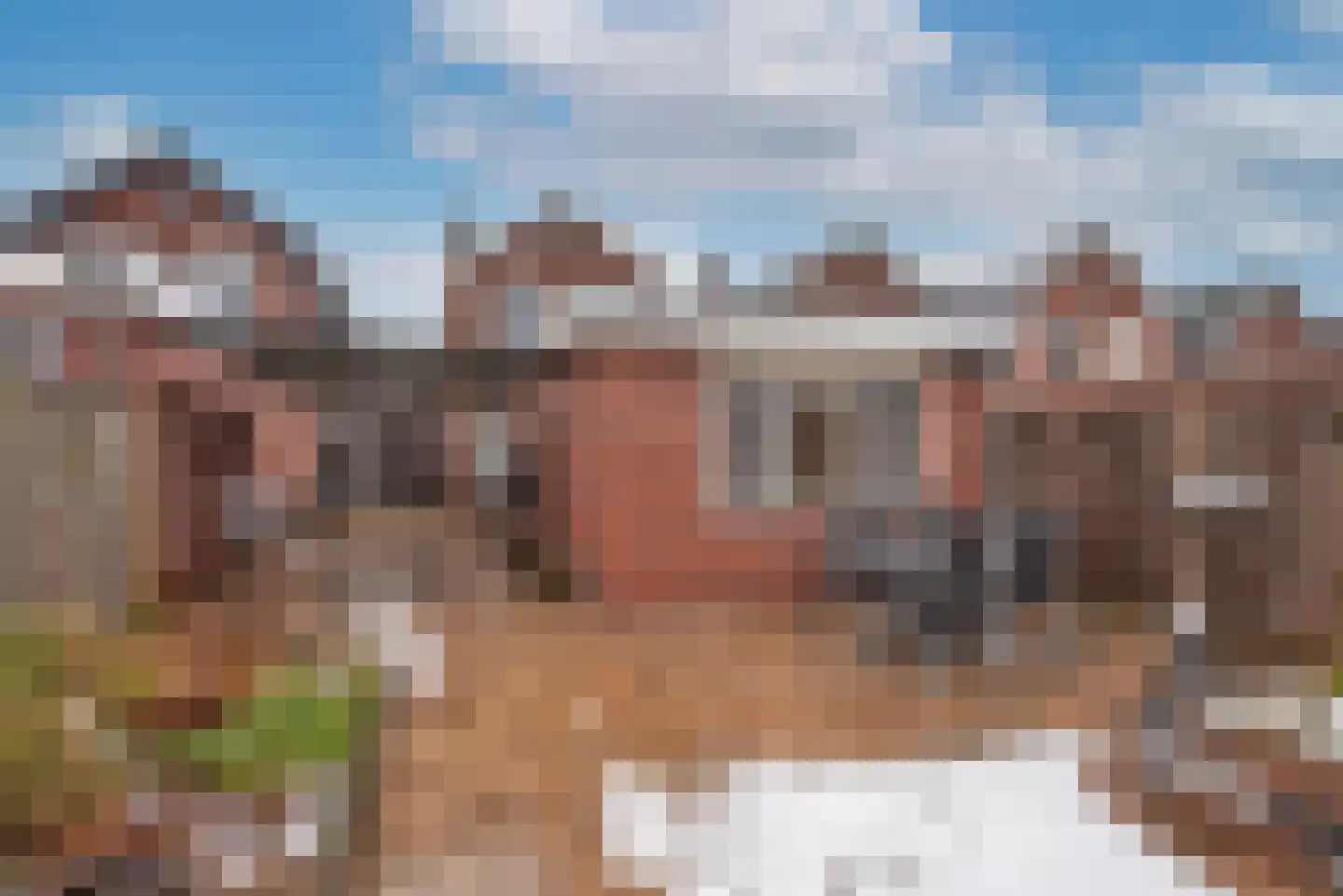 Berfloweg 217 Hengelo thumbnail 28