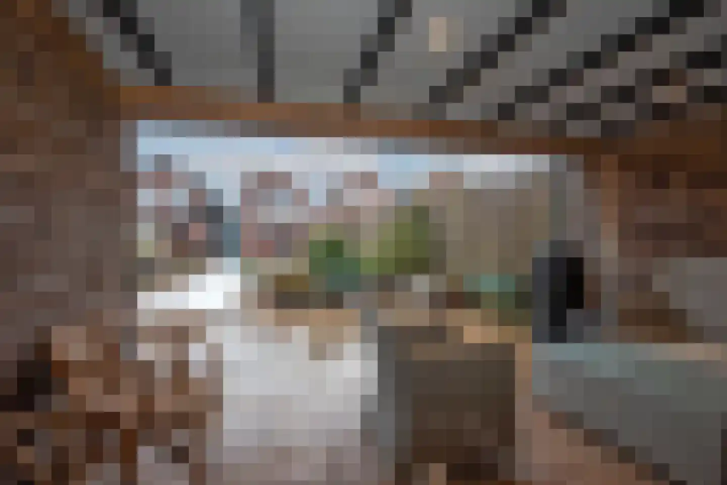 Berfloweg 217 Hengelo thumbnail 30