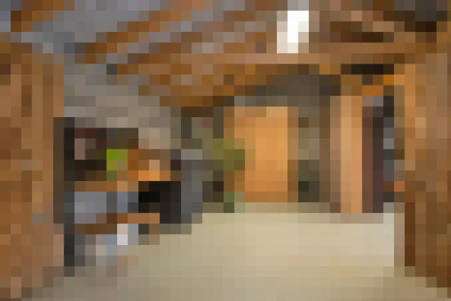 Berfloweg 217 Hengelo thumbnail 32