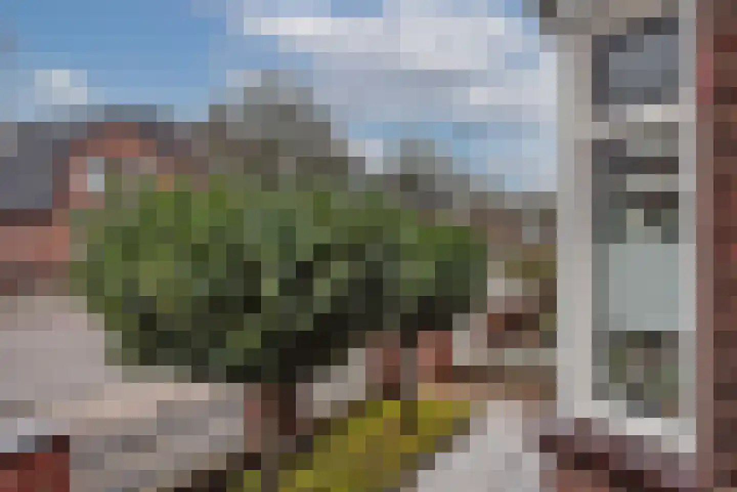 Berfloweg 217 Hengelo thumbnail 37