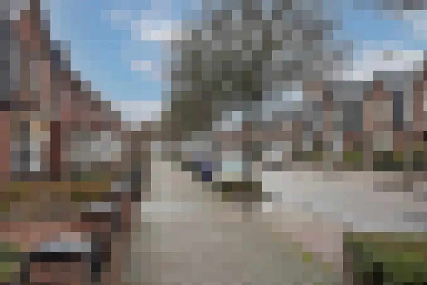 Berfloweg 217 Hengelo thumbnail 39