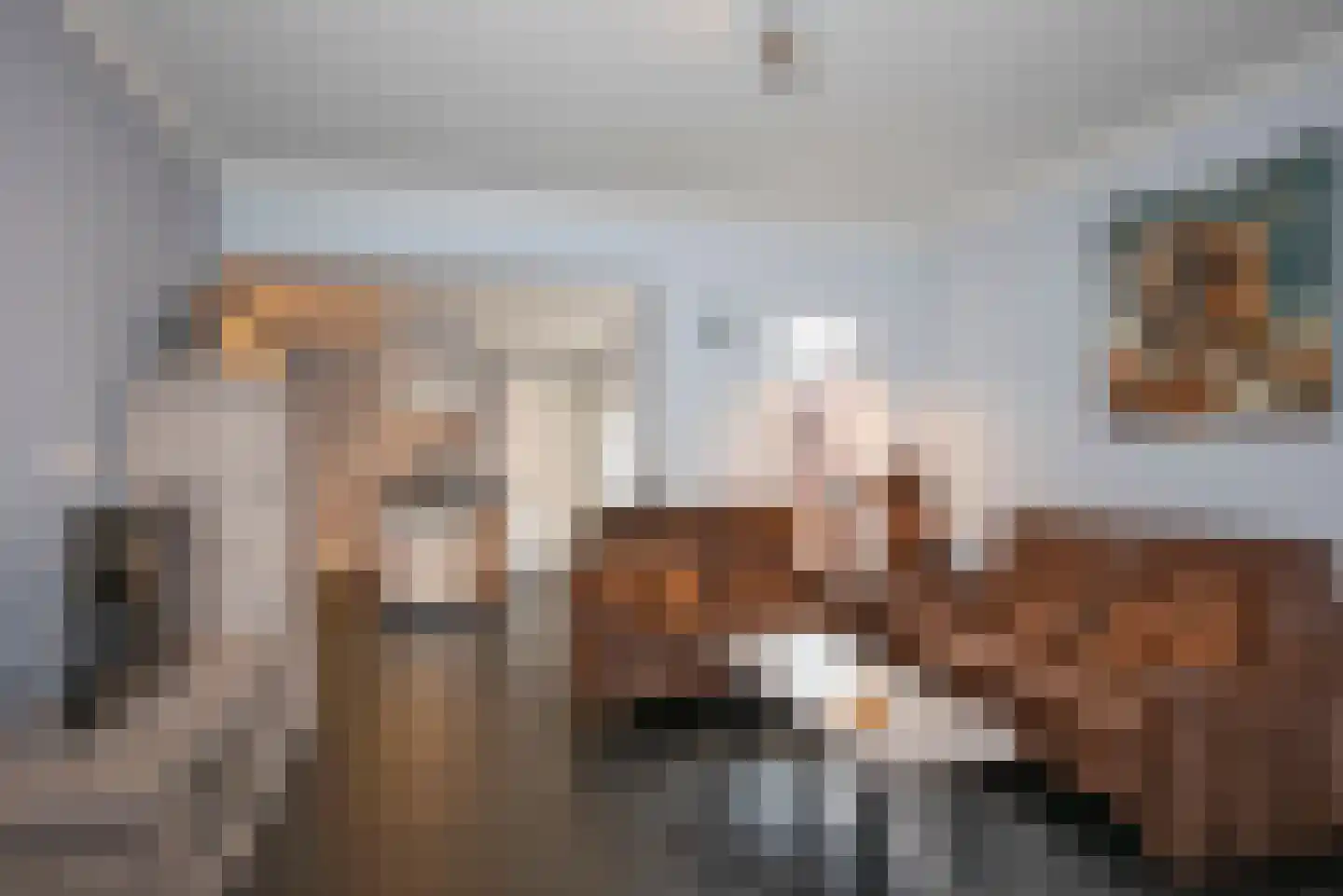 Berfloweg 217 Hengelo thumbnail 6