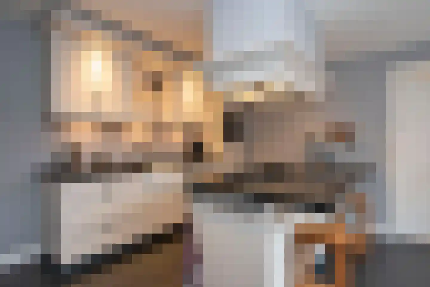 Berfloweg 217 Hengelo thumbnail 8