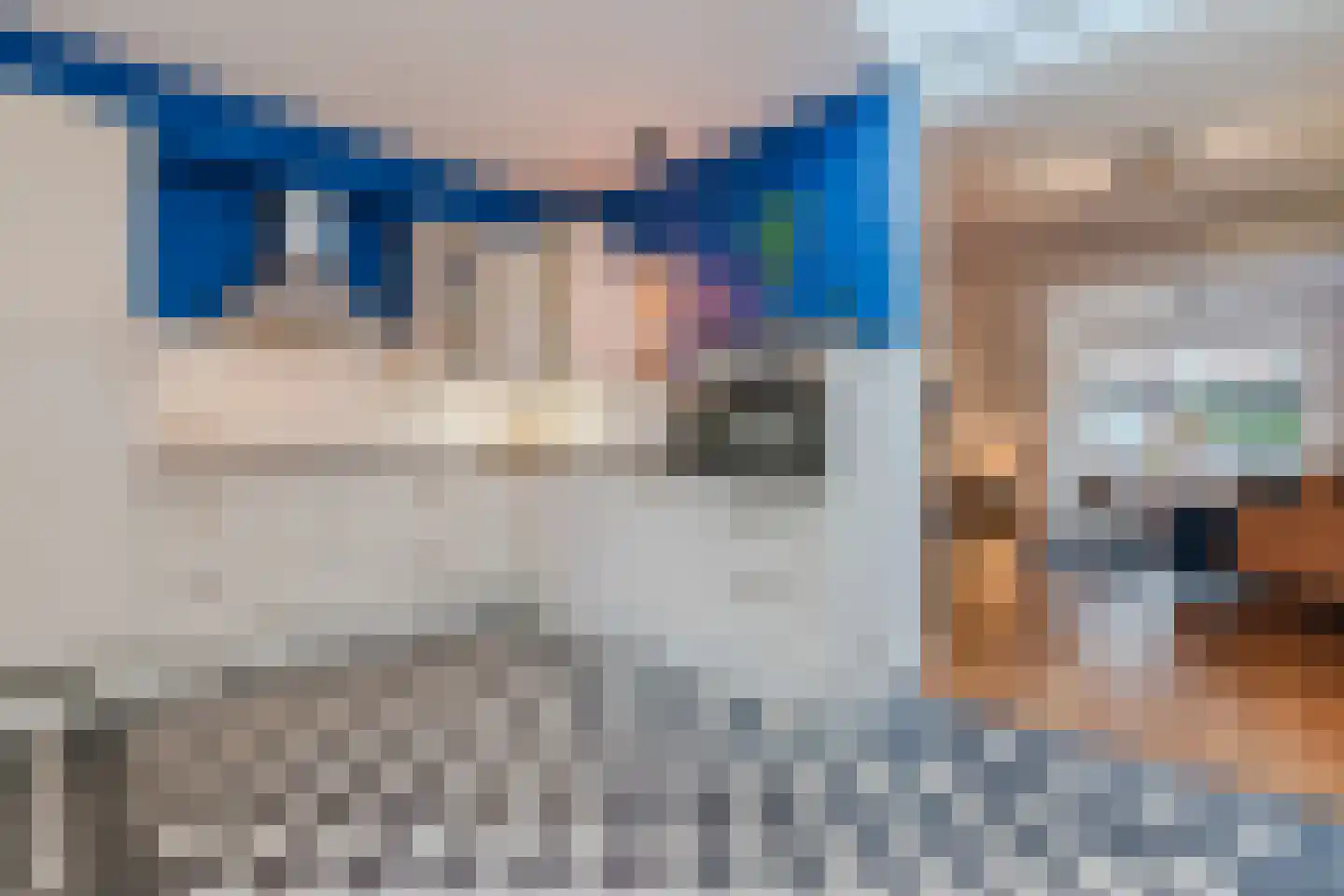 Berfloweg 232 Hengelo thumbnail 17
