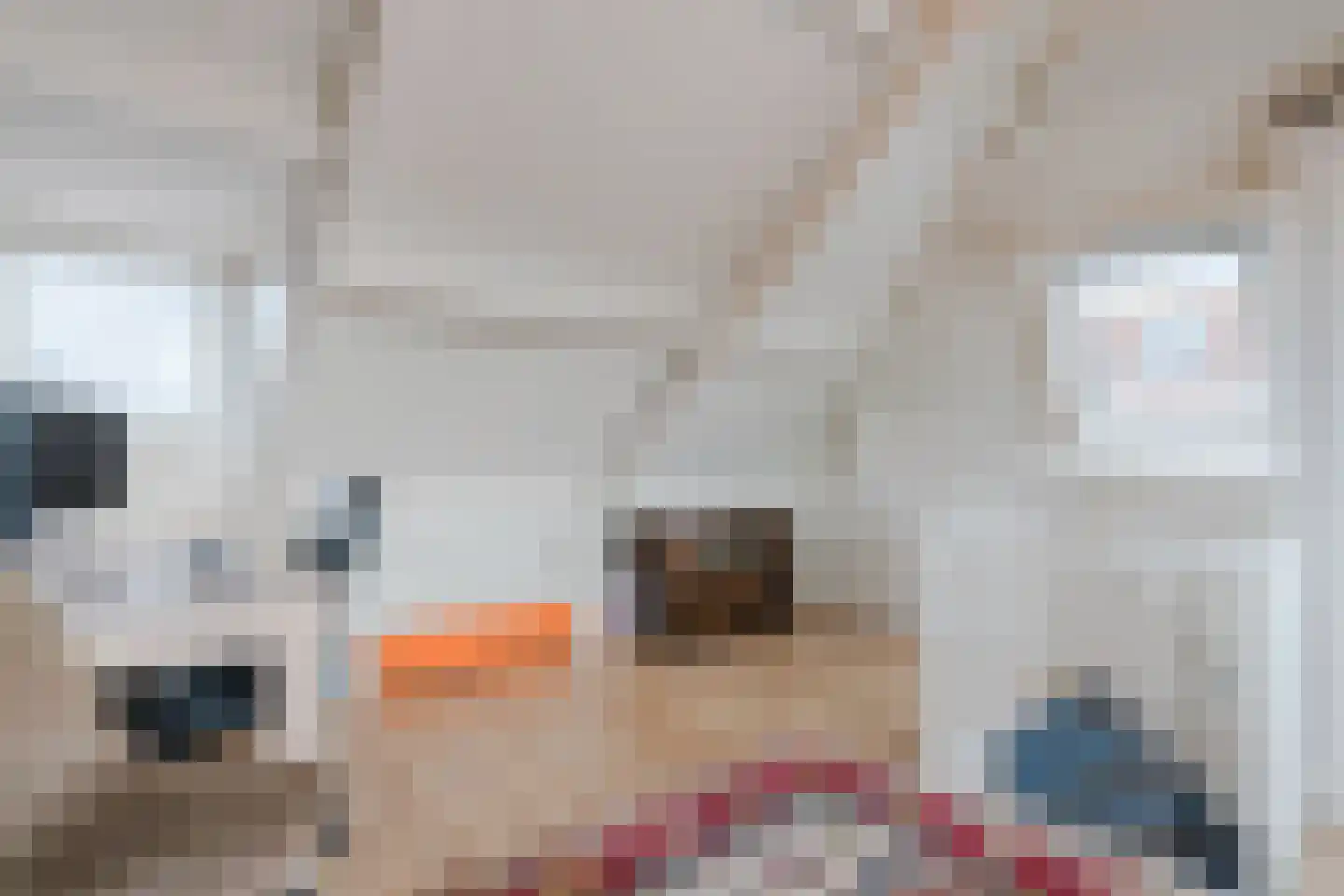 Berfloweg 232 Hengelo thumbnail 37