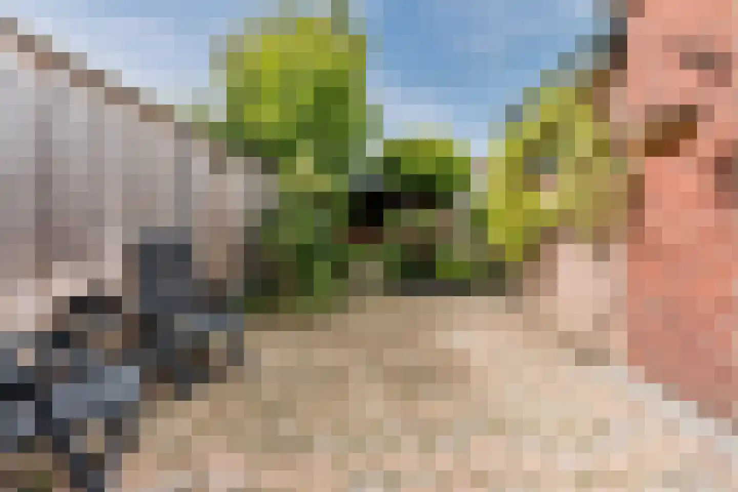 Berfloweg 232 Hengelo thumbnail 39
