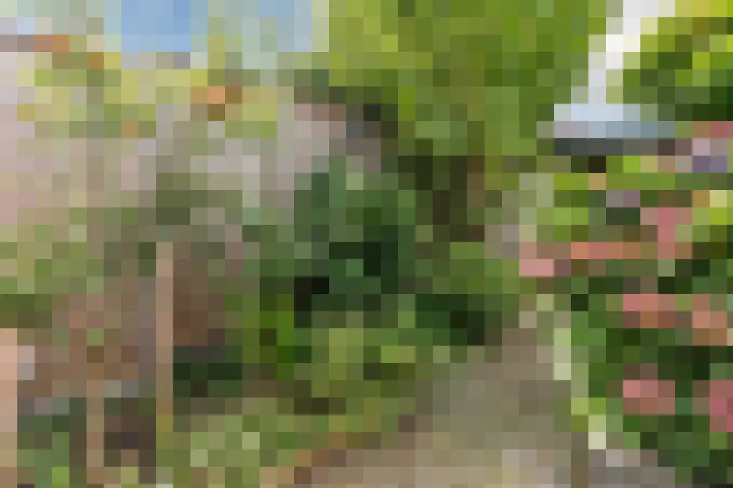 Berfloweg 232 Hengelo thumbnail 40