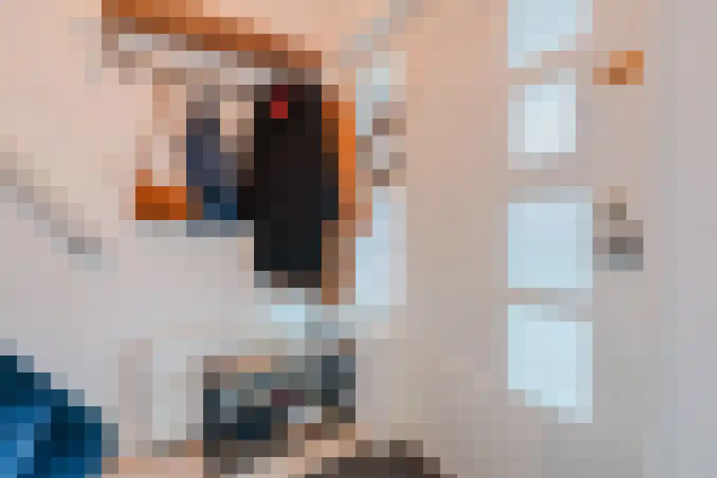 Berfloweg 232 Hengelo thumbnail 9