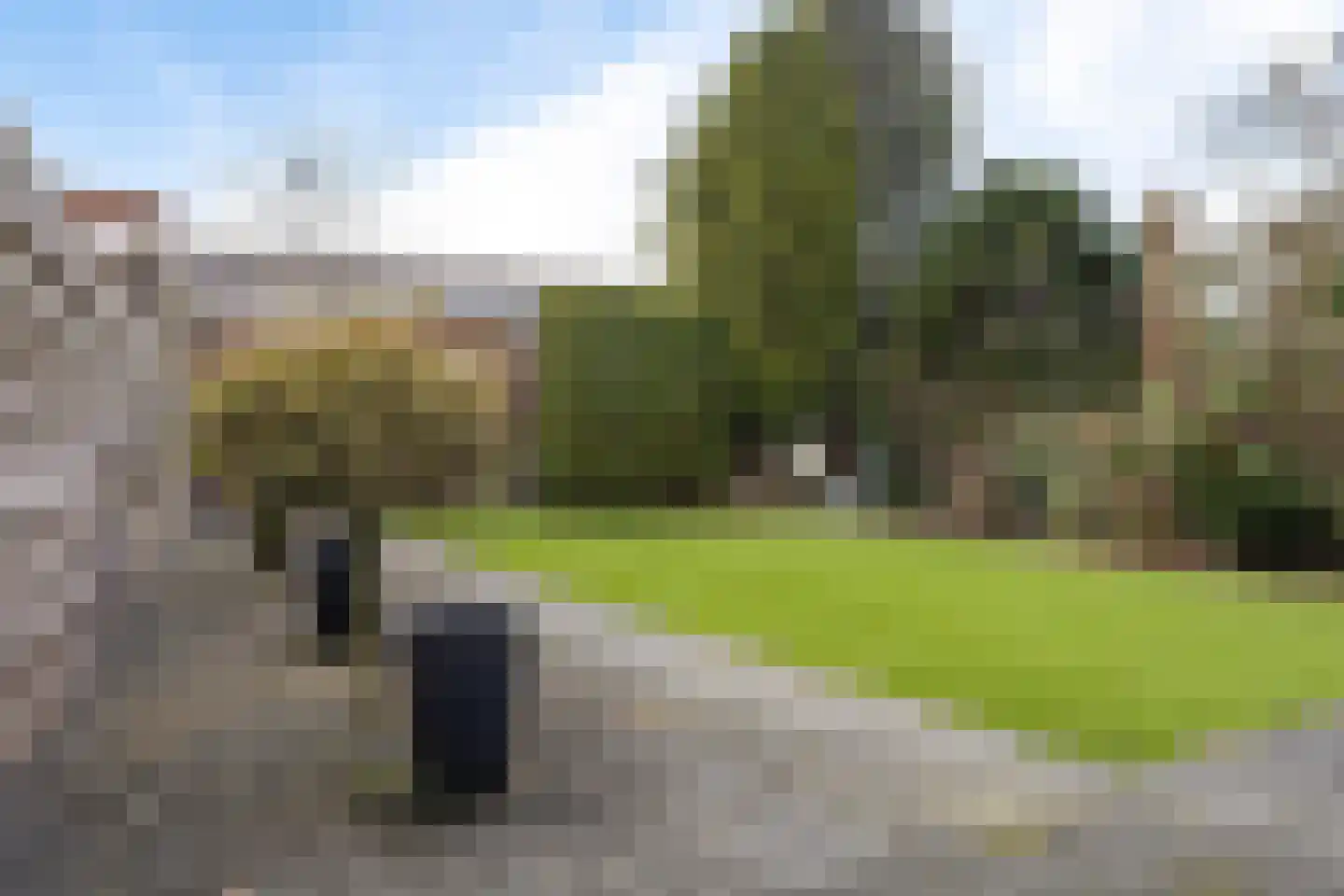 Berfloweg 248 Hengelo thumbnail 27