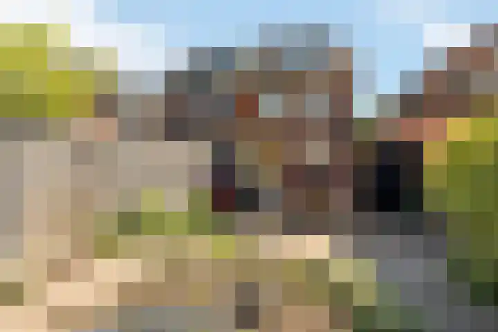 Berfloweg 266 A Hengelo thumbnail 16