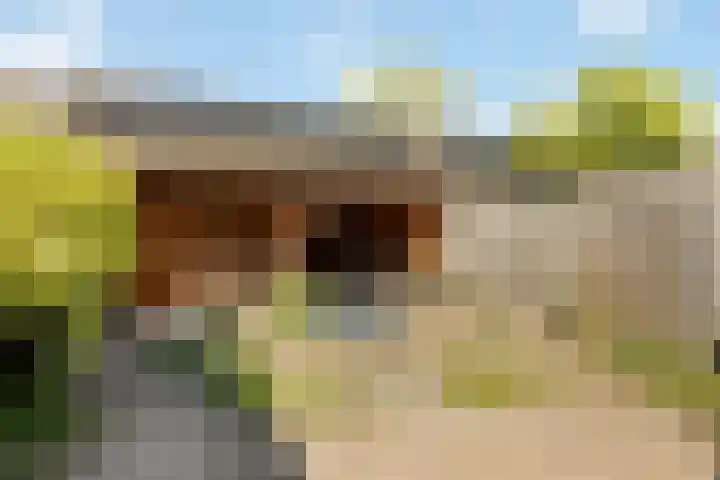 Berfloweg 266 A Hengelo thumbnail 17
