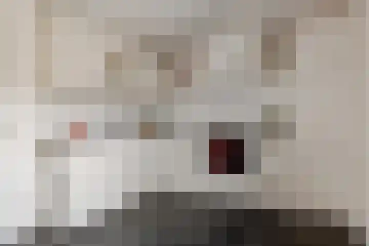Berfloweg 266 A Hengelo thumbnail 7