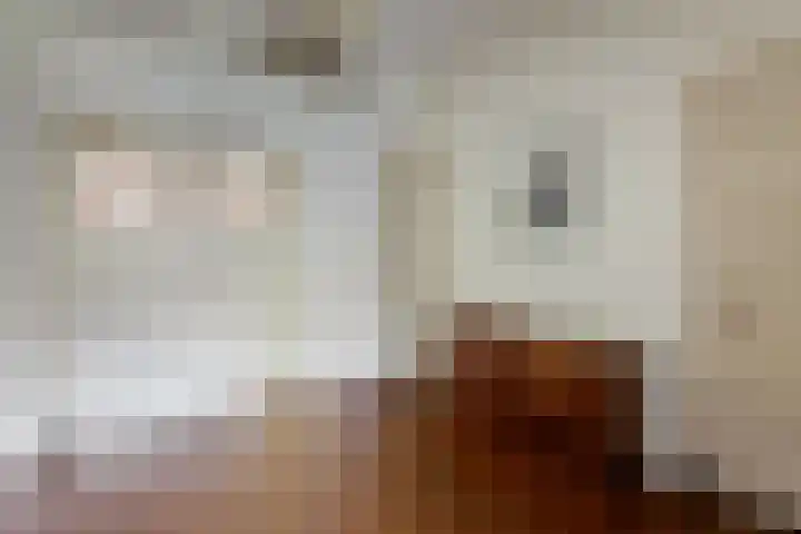 Berfloweg 266 A Hengelo thumbnail 8