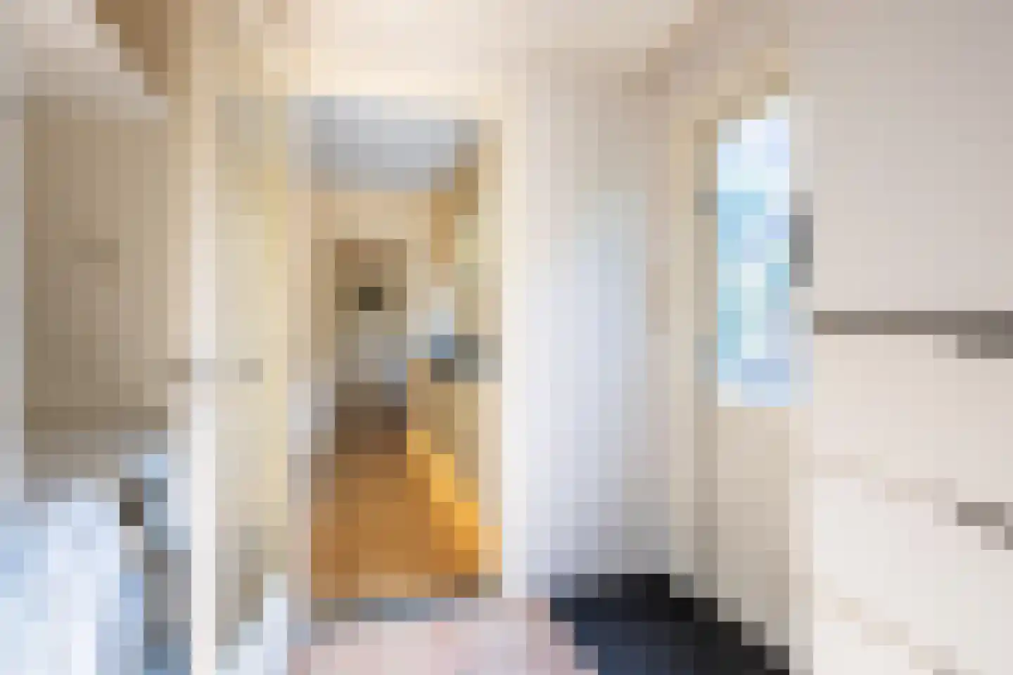 Berfloweg 68 Hengelo thumbnail 18