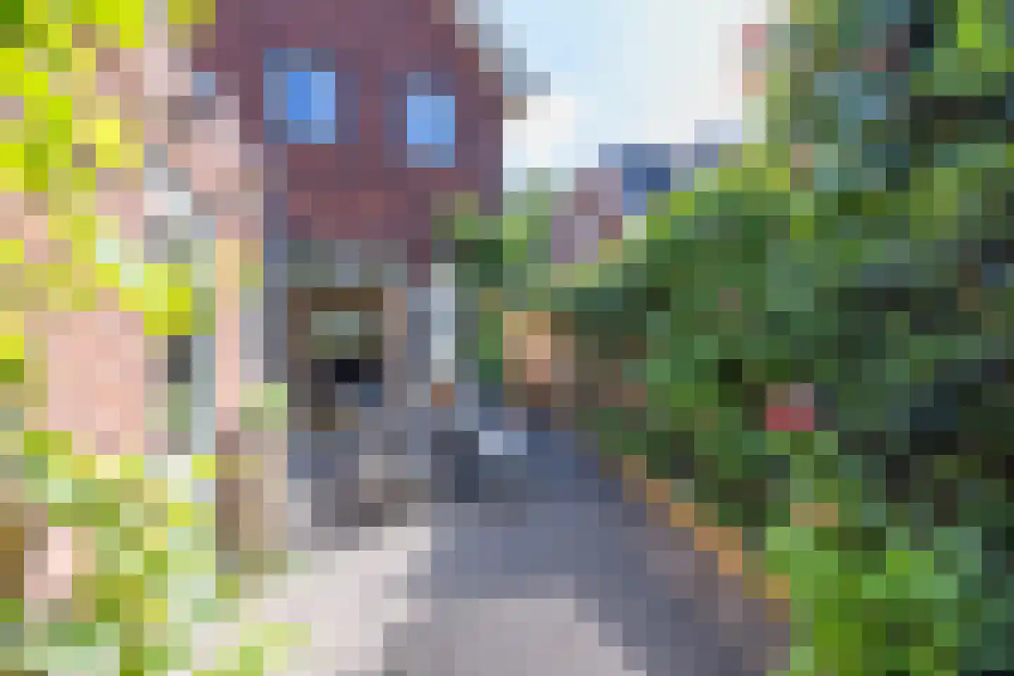 Berfloweg 68 Hengelo thumbnail 54