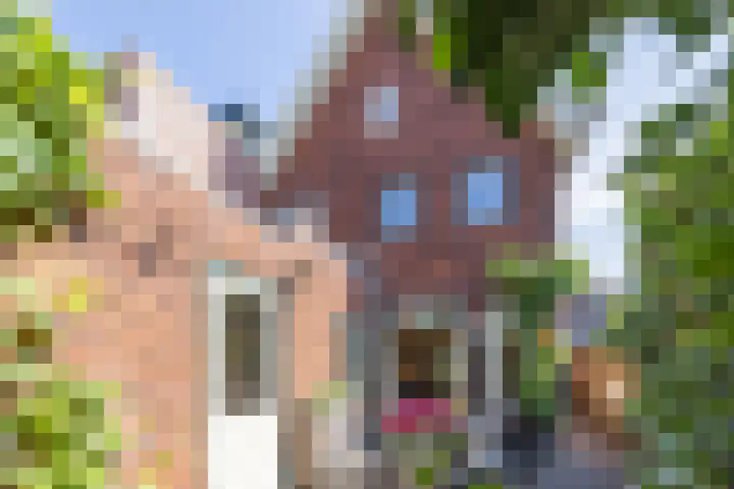 Berfloweg 68 Hengelo thumbnail 55