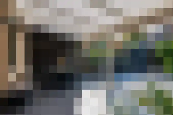 Berg 10 Veldhoven thumbnail 24