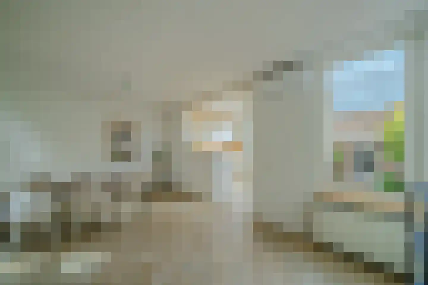 Berg 106 Veldhoven thumbnail 12