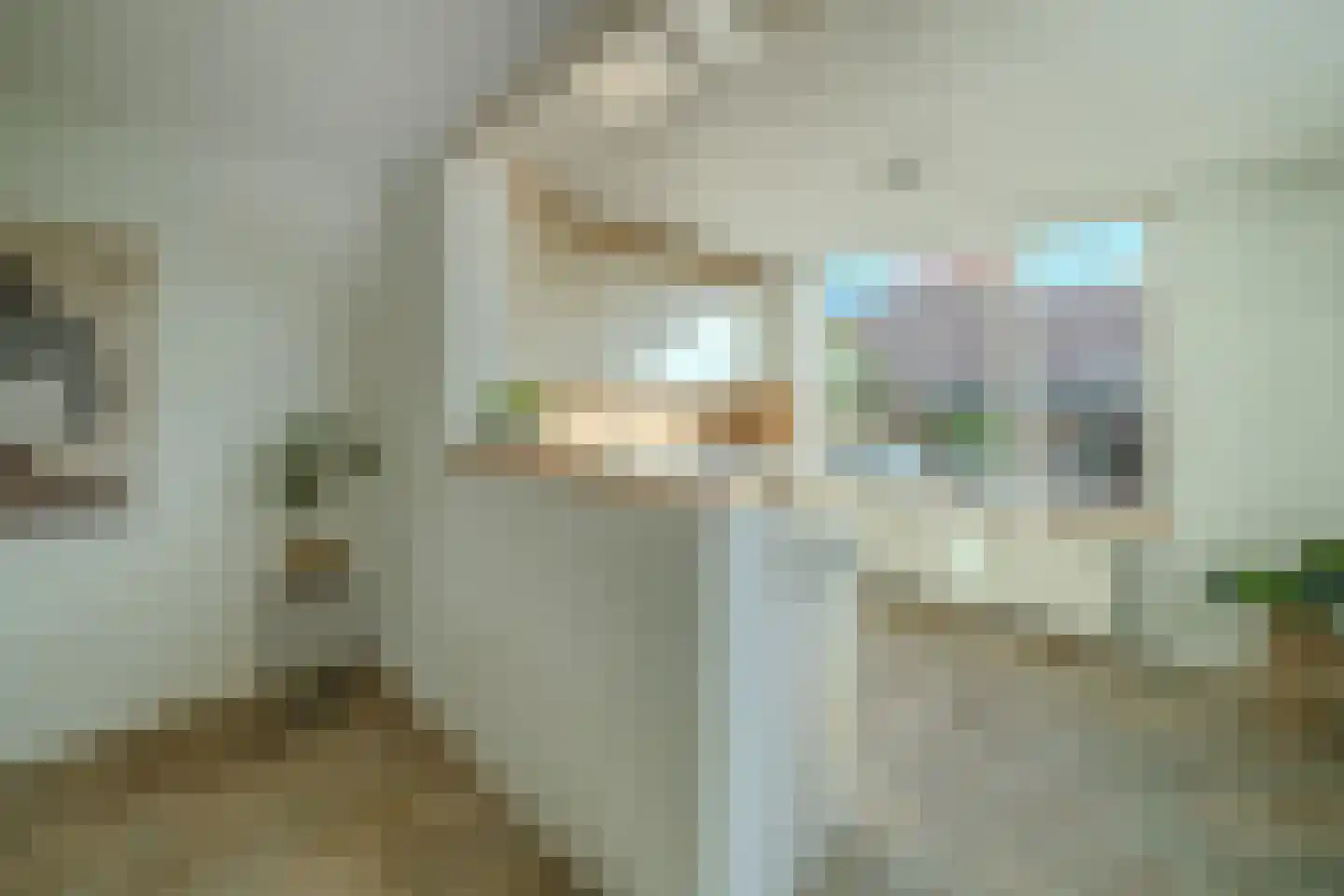 Berg 106 Veldhoven thumbnail 17