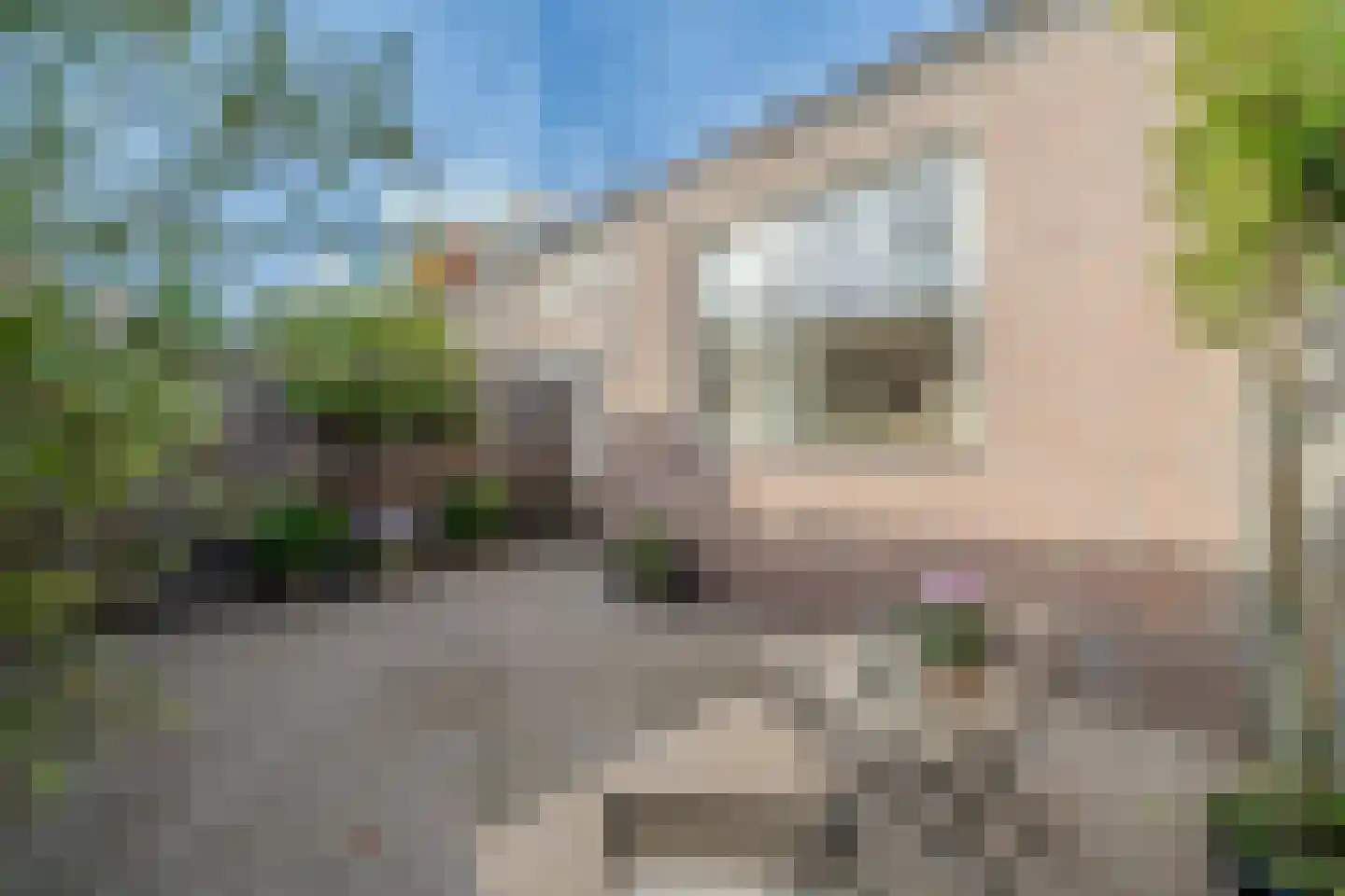 Berg 106 Veldhoven thumbnail 18