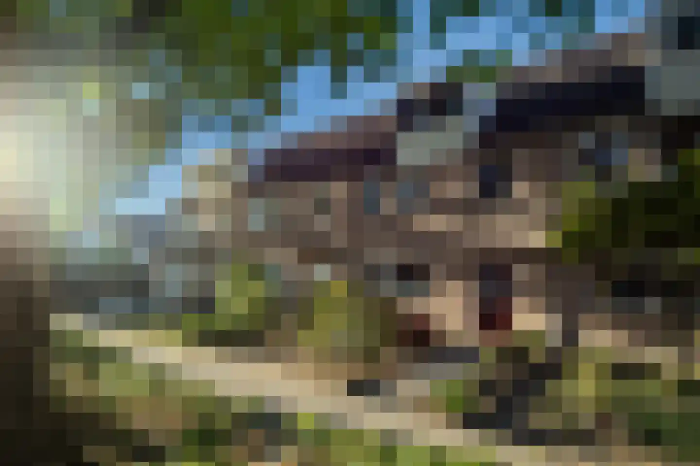 Berg 106 Veldhoven thumbnail 8