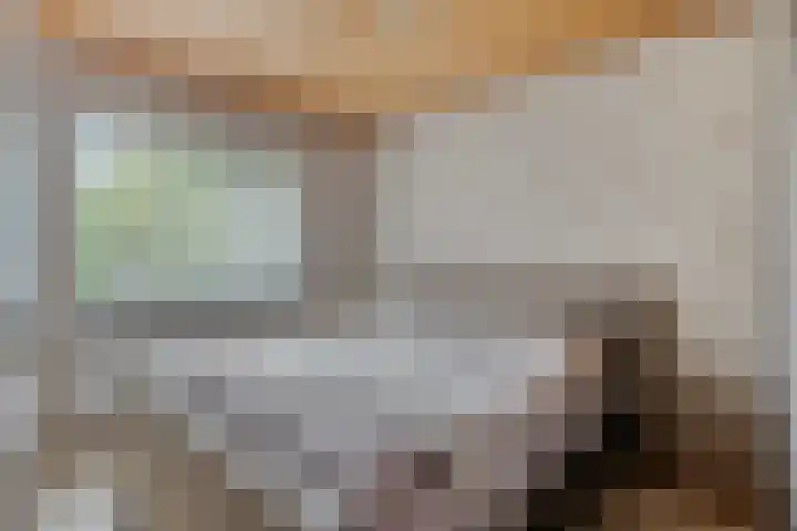 Berg 2 Budel thumbnail 11