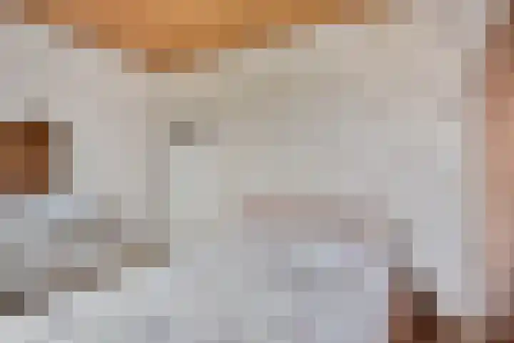 Berg 2 Budel thumbnail 13