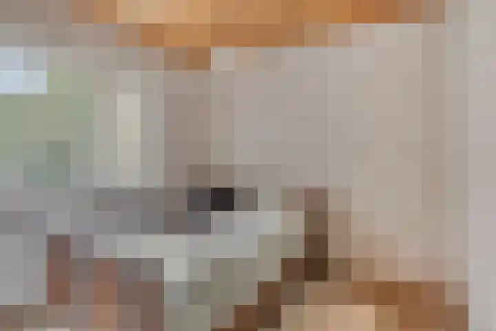 Berg 2 Budel thumbnail 14