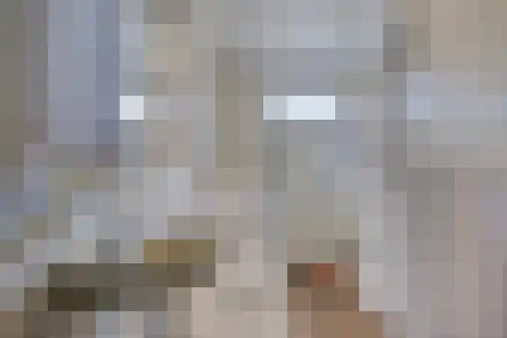 Berg 2 Budel thumbnail 15