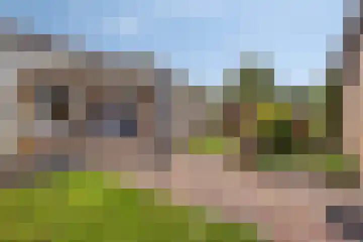 Berg 2 Budel thumbnail 18