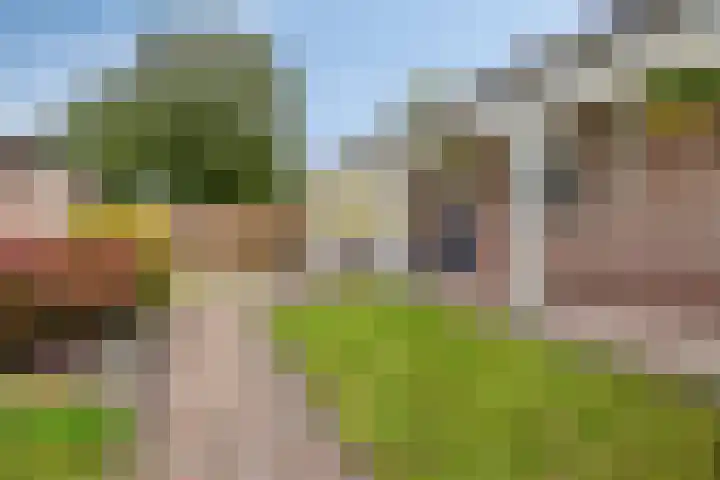 Berg 2 Budel thumbnail 19