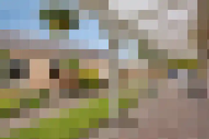 Berg 2 Budel thumbnail 20