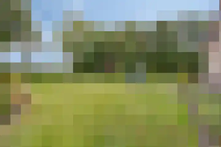 Berg 2 Budel thumbnail 26