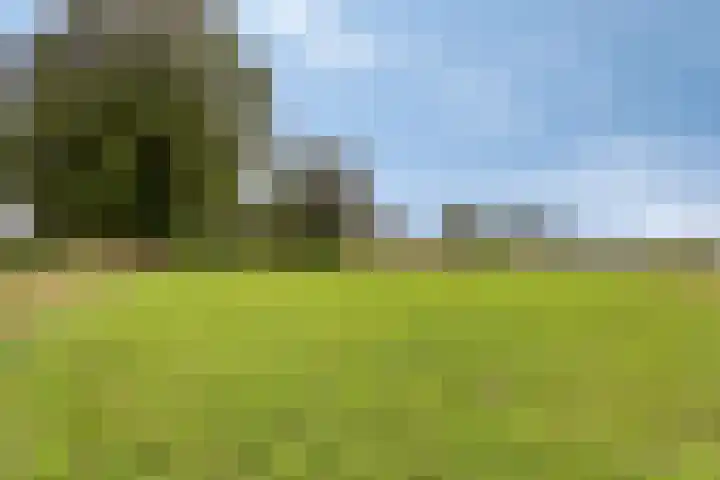 Berg 2 Budel thumbnail 28