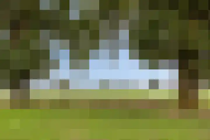 Berg 2 Budel thumbnail 29