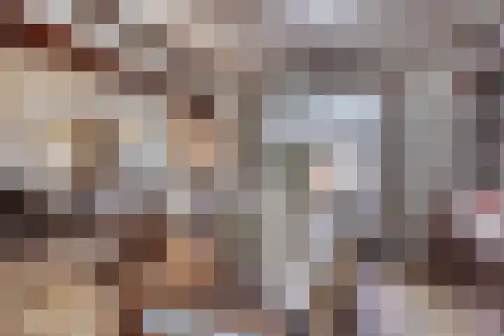Berg 2 Budel thumbnail 5