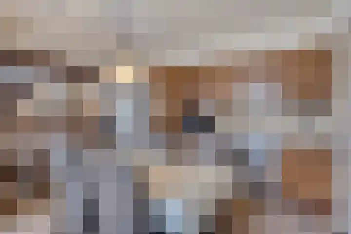 Berg 2 Budel thumbnail 7