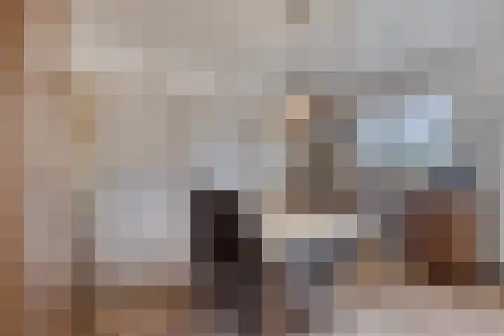 Berg 2 Budel thumbnail 8