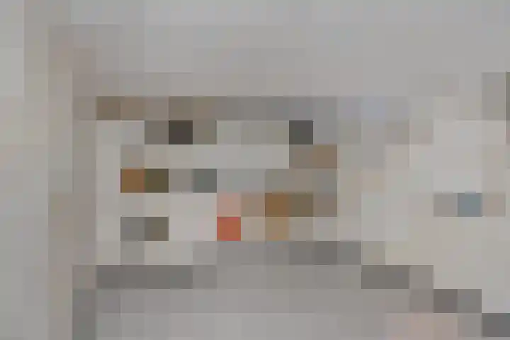 Berg 2 Budel thumbnail 9