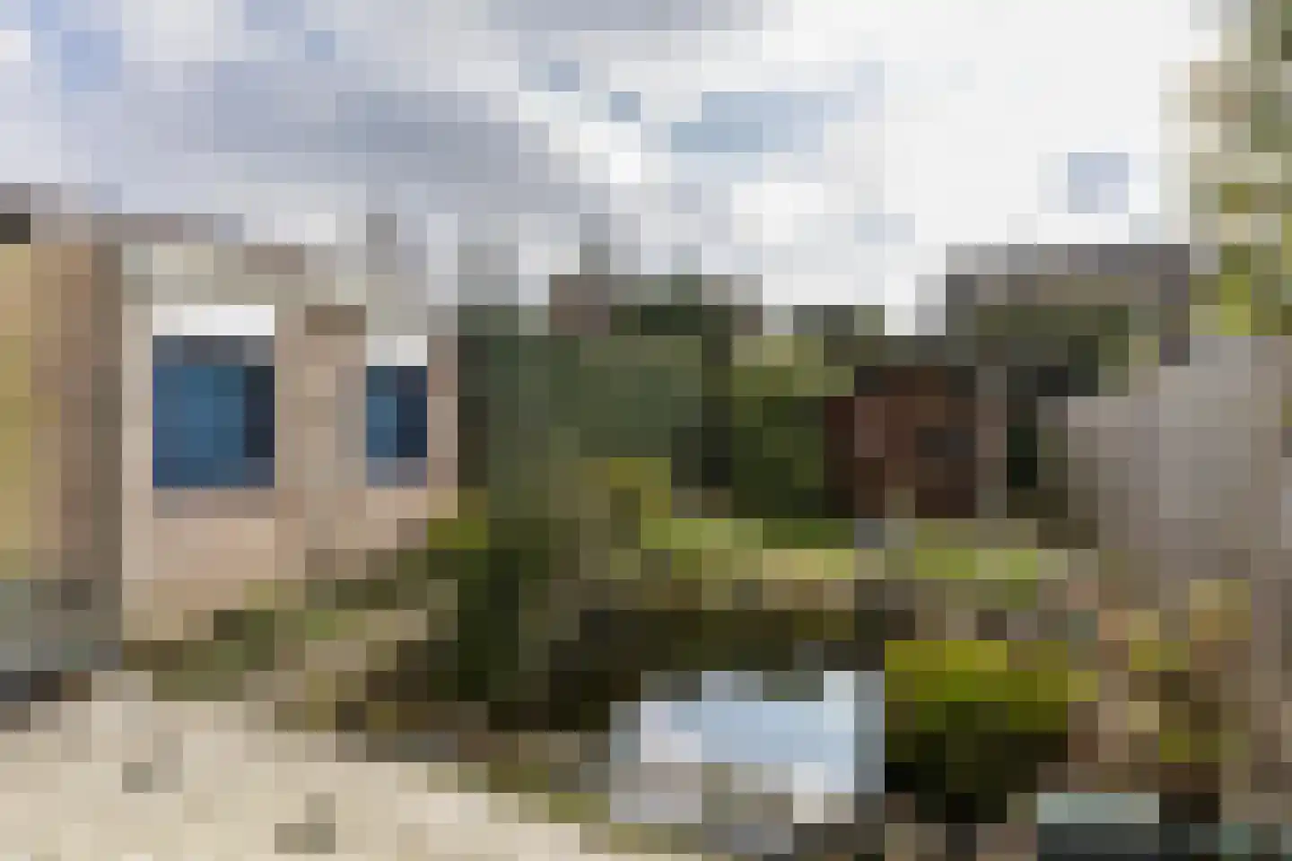 Berg 36 Veldhoven thumbnail 24