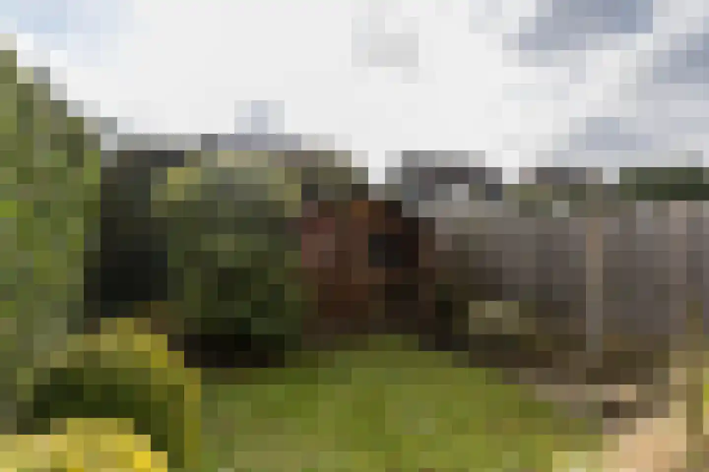Berg 36 Veldhoven thumbnail 26