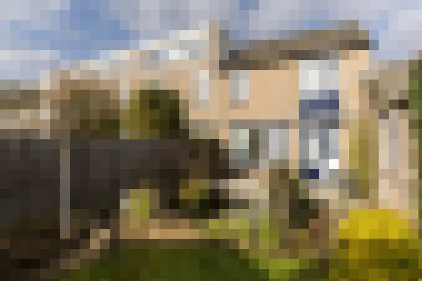Berg 36 Veldhoven thumbnail 27