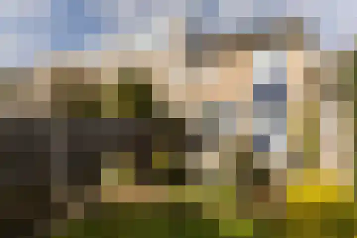 Berg 36 Veldhoven thumbnail 30