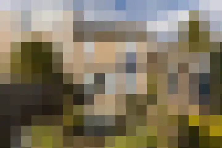 Berg 36 Veldhoven thumbnail 31
